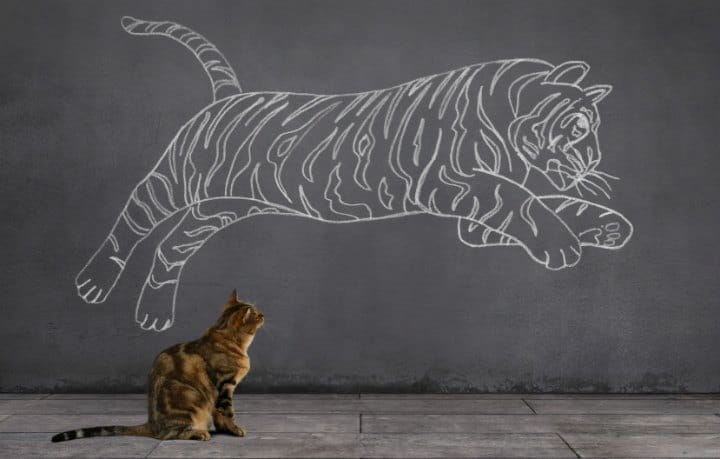 Lesson: Facing the Unknown: Terrifying Transitions (Gideon 6)